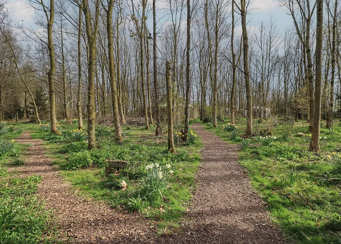 Ashkey Yurt Ferienhaus *