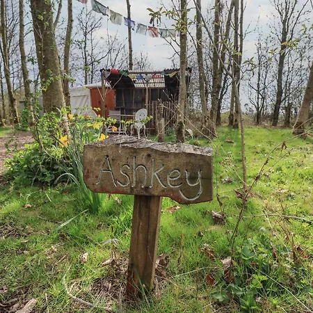 Ashkey Yurt *